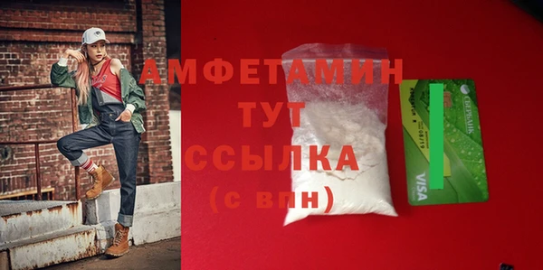 гидра Арсеньев